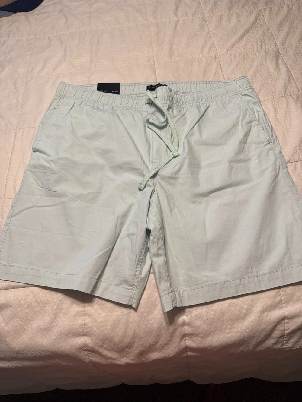 Men's Light green Elastic-Waist Shorts. Banana Republic. New with tags